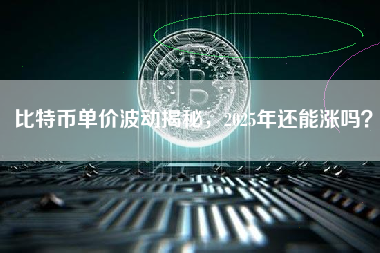 比特币单价波动揭秘，2025年还能涨吗？