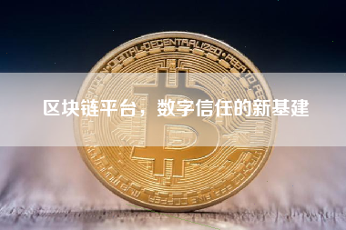 区块链平台，数字信任的新基建