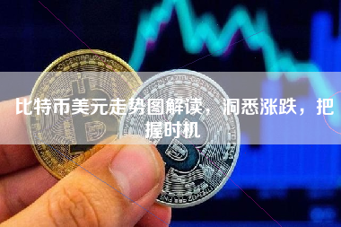 比特币美元走势图解读，洞悉涨跌，把握时机