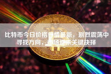 比特币今日价格行情最新，剧烈震荡中寻找方向，市场迎来关键抉择