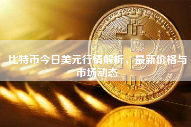 比特币今日美元行情解析,最新价格与市场动态 比特币今日美元行情解析,最新价格与市场动态