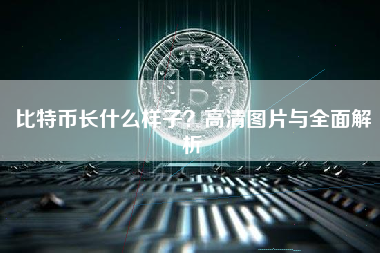 比特币长什么样子？高清图片与全面解析
