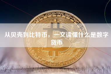 从贝壳到比特币，一文读懂什么是数字货币