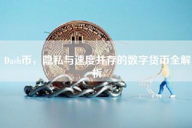 Dash币，隐私与速度并存的数字货币全解析