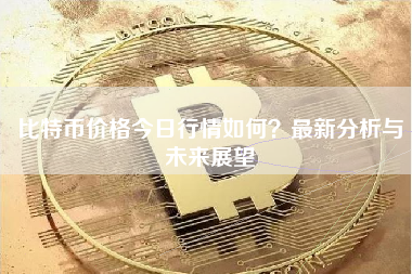比特币价格今日行情如何?最新分析与未来展望 比特币价格今日行情如何?最新分析与未来展望