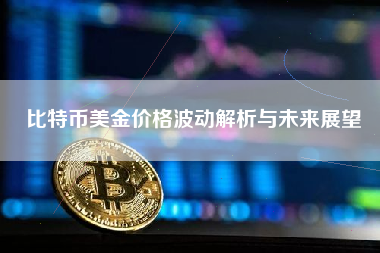 比特币美金价格波动解析与未来展望