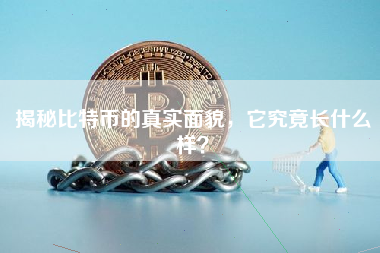 揭秘比特币的真实面貌，它究竟长什么样？