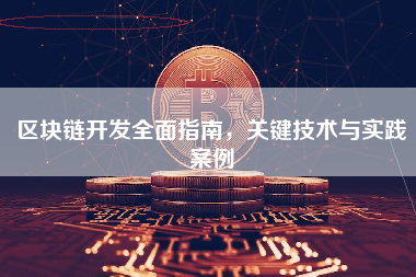 区块链开发全面指南，关键技术与实践案例