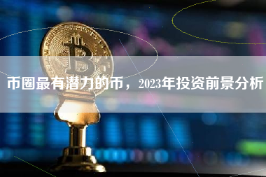 币圈最有潜力的币，2023年投资前景分析