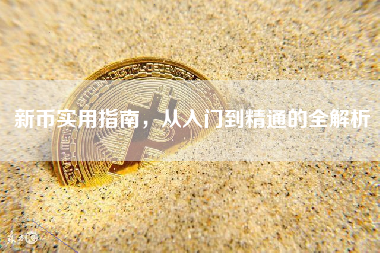 新币实用指南，从入门到精通的全解析