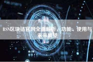 BSN区块链官网全面解析,功能、使用与未来展望 BSN区块链官网全面解析,功能、使用与未来展望