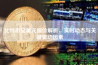 比特币兑美元报价解析，实时动态与关键驱动因素