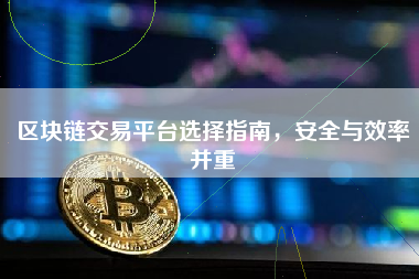 区块链交易平台选择指南，安全与效率并重
