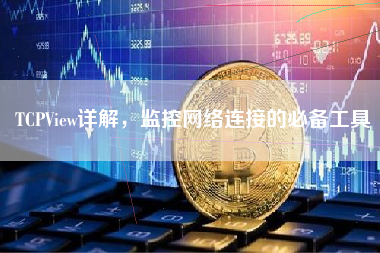 TCPView详解，监控网络连接的必备工具