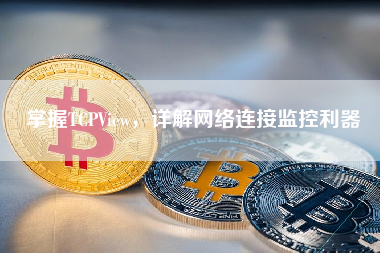 掌握TCPView，详解网络连接监控利器