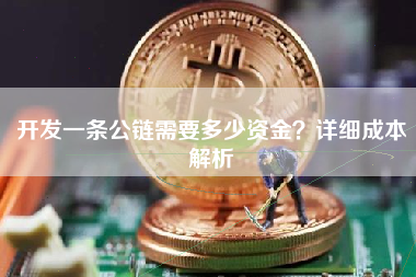 开发一条公链需要多少资金?详细成本解析 开发一条公链需要多少资金?详细成本解析