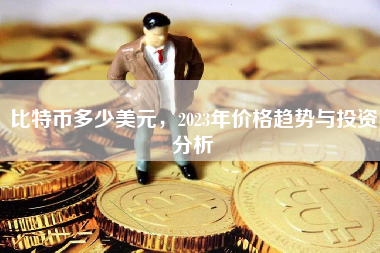 比特币多少美元，2023年价格趋势与投资分析