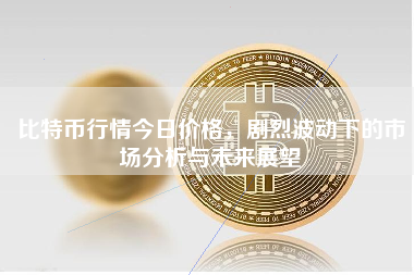 比特币行情今日价格，剧烈波动下的市场分析与未来展望