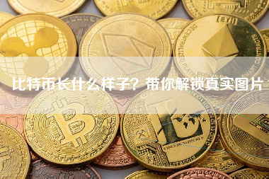 比特币长什么样子？带你解锁真实图片