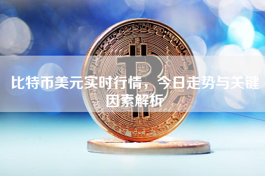 比特币美元实时行情，今日走势与关键因素解析