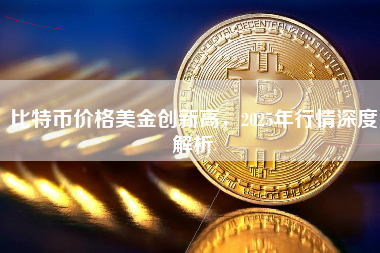 比特币价格美金创新高，2025年行情深度解析