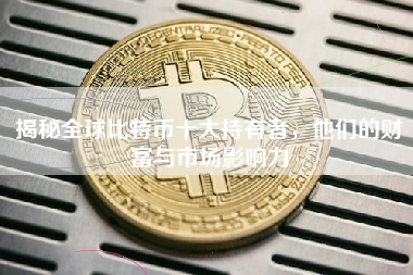 揭秘全球比特币十大持有者，他们的财富与市场影响力