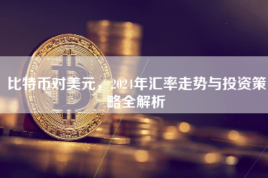比特币对美元，2024年汇率走势与投资策略全解析