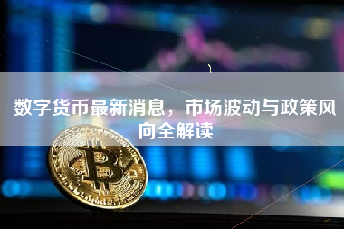 数字货币最新消息，市场波动与政策风向全解读