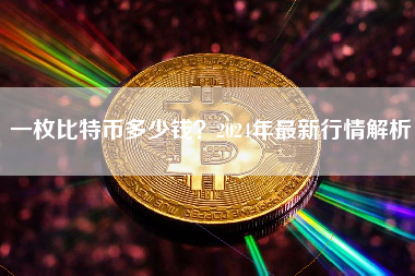 一枚比特币多少钱?2024年最新行情解析 一枚比特币多少钱?2024年最新行情解析