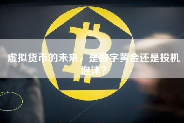 虚拟货币的未来，是数字黄金还是投机泡沫？