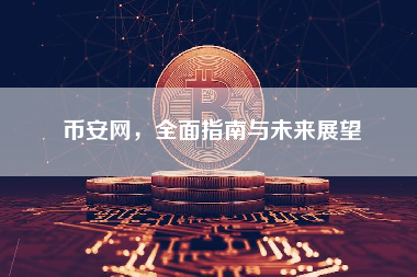 币安网，全面指南与未来展望