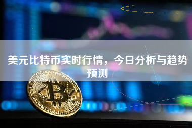 美元比特币实时行情，今日分析与趋势预测
