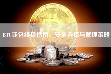 BTC钱包终极指南，安全选择与管理策略