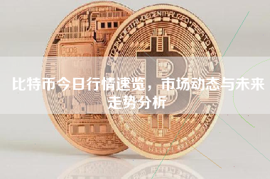比特币今日行情速览，市场动态与未来走势分析