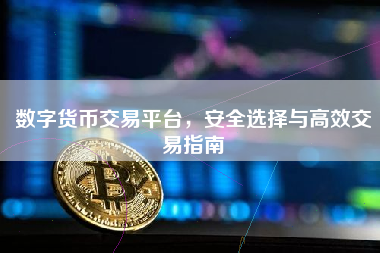 数字货币交易平台，安全选择与高效交易指南