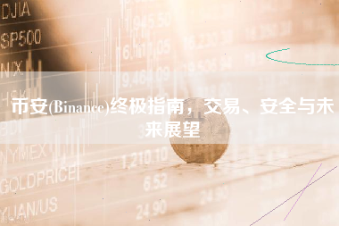 币安(Binance)终极指南，交易、安全与未来展望