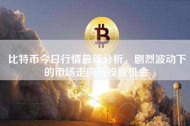 比特币今日行情最新分析，剧烈波动下的市场走向与投资机会