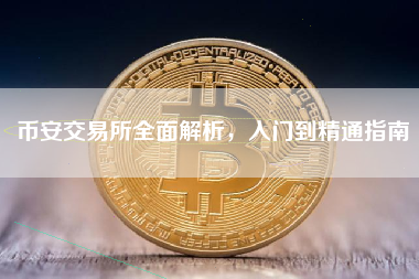 币安交易所全面解析，入门到精通指南