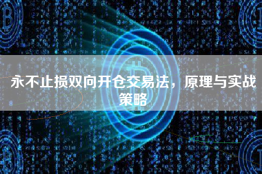永不止损双向开仓交易法,原理与实战策略 永不止损双向开仓交易法,原理与实战策略