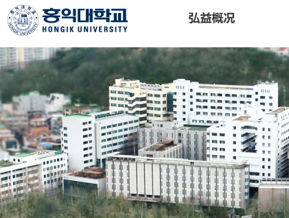 弘益大学