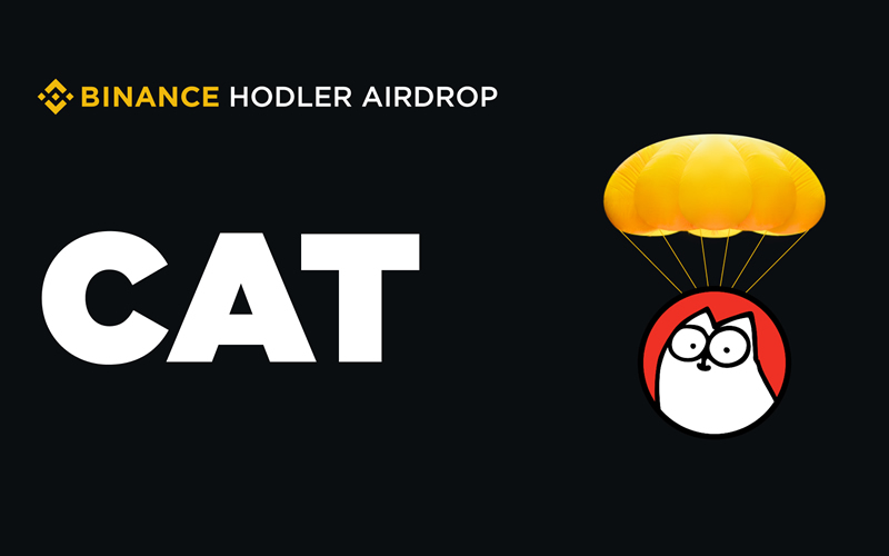 Simon's Cat (1000CAT)